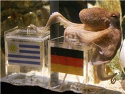 Bóng đá anh, ngoại hạng anh, lịch thi đấu euro 2012, Tin mới về vụ "chuyển nhượng" Paul: Sea Life từ chối lời đề nghị từ Madrid